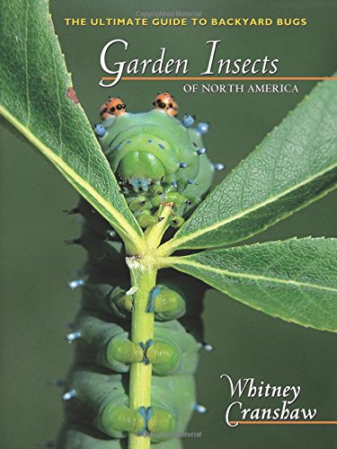 Book Cover Garden Insects of North America: The Ultimate Guide to Backyard Bugs (Princeton Field Guides)