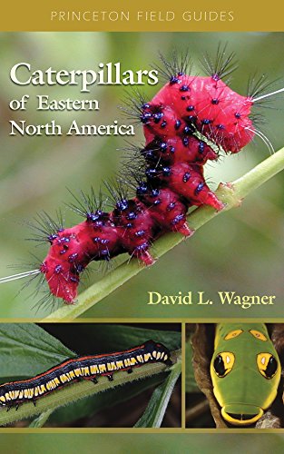 Book Cover Caterpillars of Eastern North America: A Guide to Identification and Natural History (Princeton Field Guides, 36)