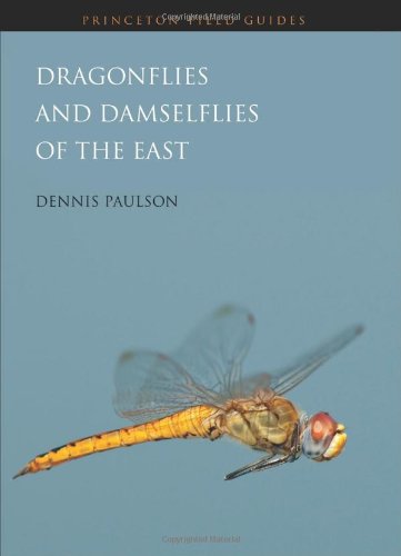 Book Cover Dragonflies and Damselflies of the East (Princeton Field Guides)