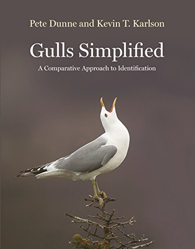 Book Cover Gulls Simplified: A Comparative Approach to Identification