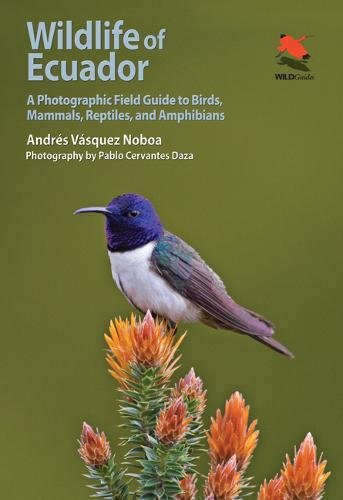 Book Cover Wildlife of Ecuador: A Photographic Field Guide to Birds, Mammals, Reptiles, and Amphibians (Wildlife Explorer Guides)