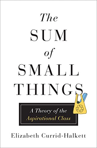 Book Cover The Sum of Small Things: A Theory of the Aspirational Class