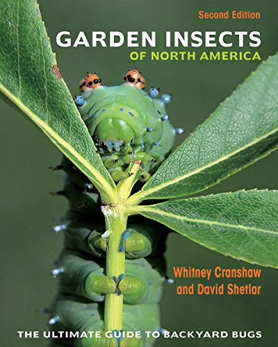 Book Cover Garden Insects of North America: The Ultimate Guide to Backyard Bugs - Second Edition