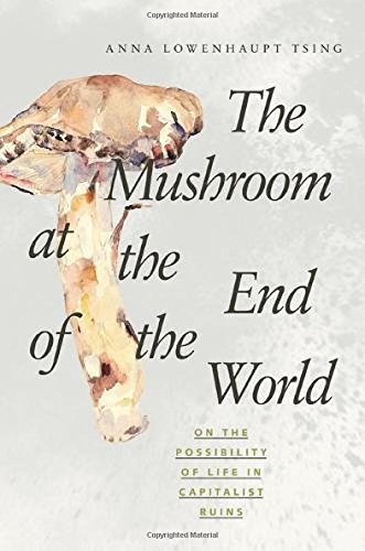 Book Cover The Mushroom at the End of the World: On the Possibility of Life in Capitalist Ruins