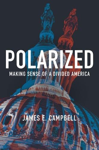 Book Cover Polarized: Making Sense of a Divided America