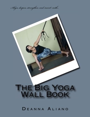 Book Cover The Big Yoga Wall Book