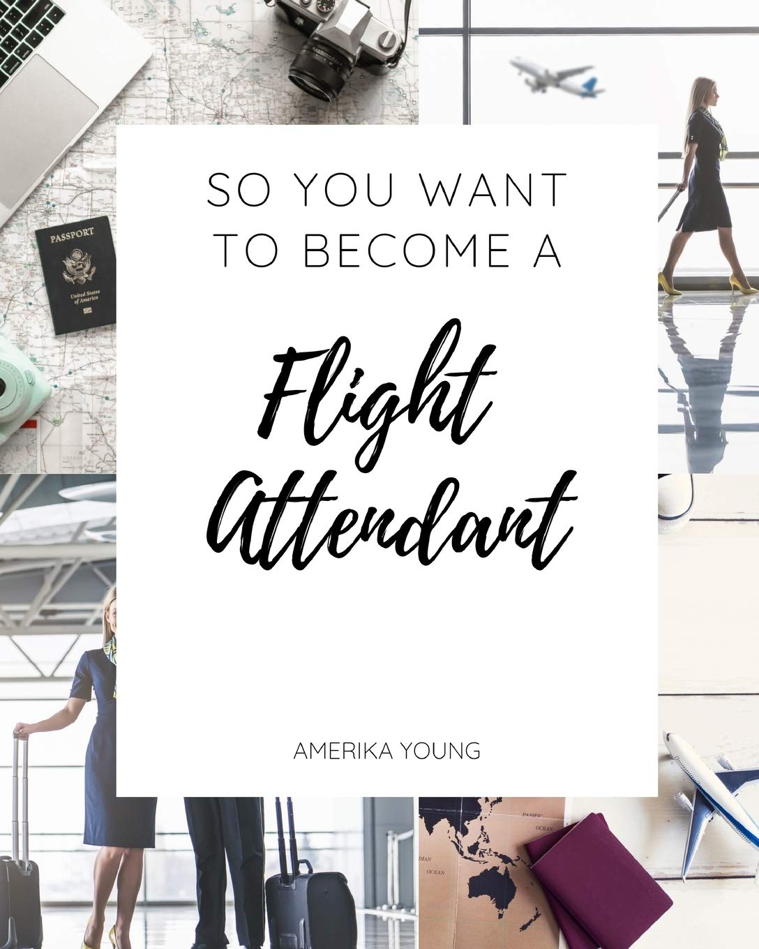 Book Cover So You Want to Become a Flight Attendant
