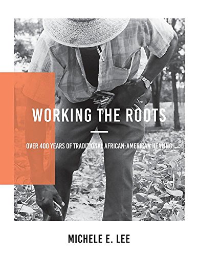 Book Cover Working the Roots: Over 400 Years of Traditional African American Healing