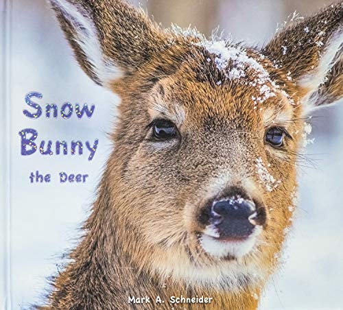 Snow Bunny the Deer