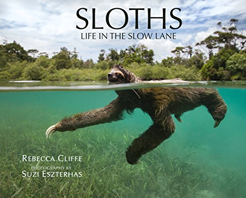Book Cover Sloths: Life in the Slow Lane