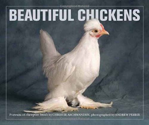 Book Cover Beautiful Chickens