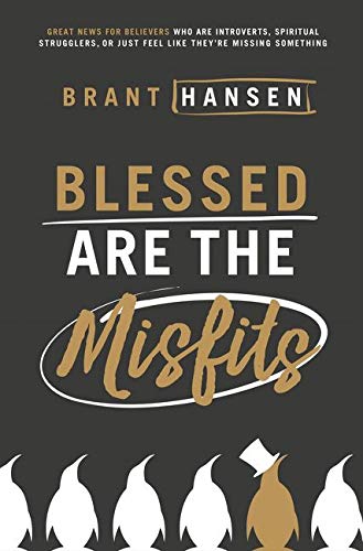Book Cover Blessed Are the Misfits: Great News for Believers who are Introverts, Spiritual Strugglers, or Just Feel Like They're Missing Something