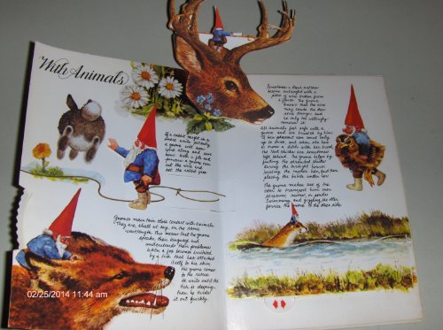 Book Cover The Pop-Up Book of Gnomes