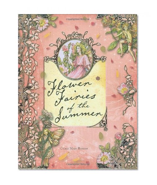 Flower Fairies of the Summer