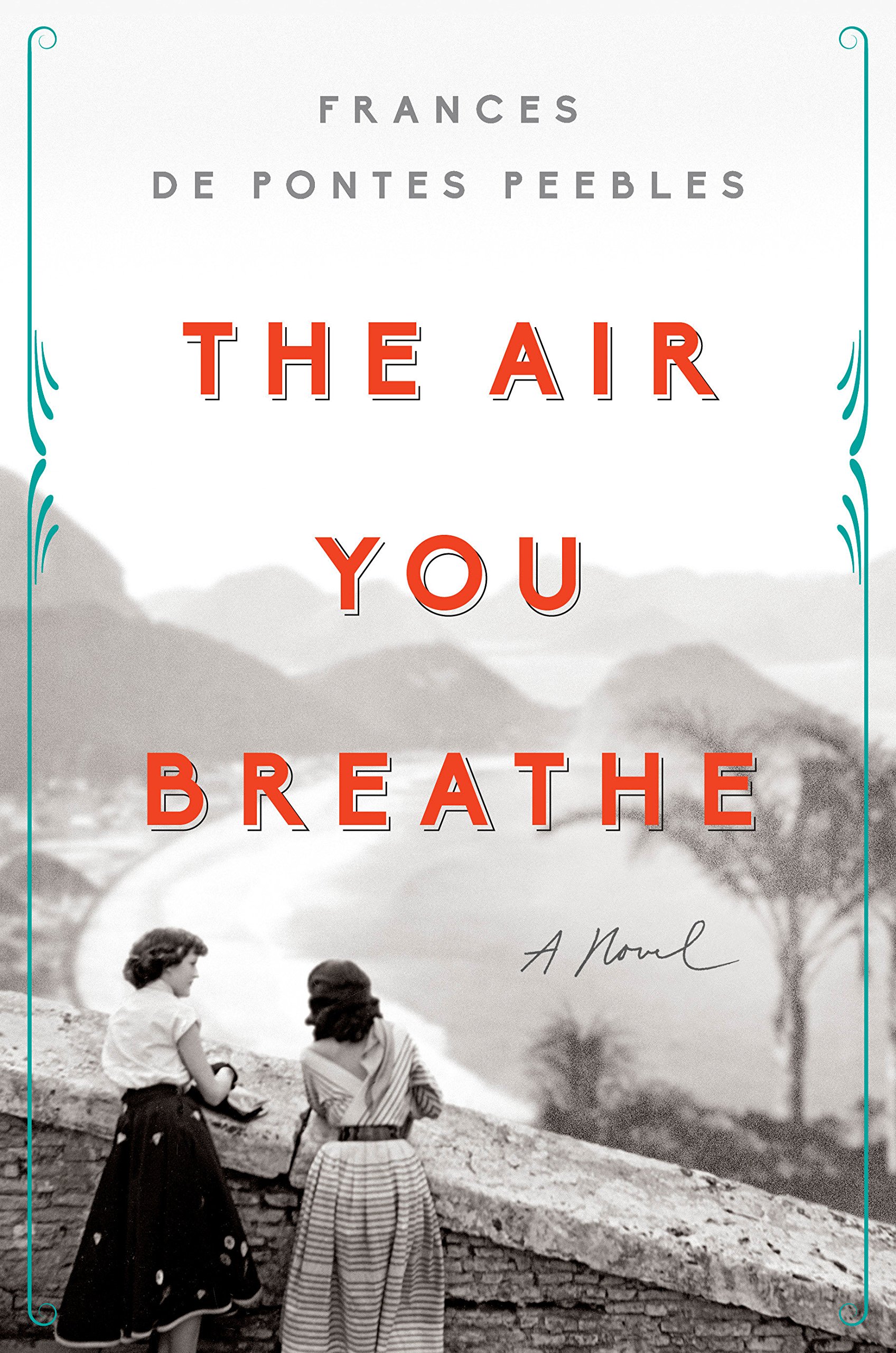 Book Cover The Air You Breathe: A Novel