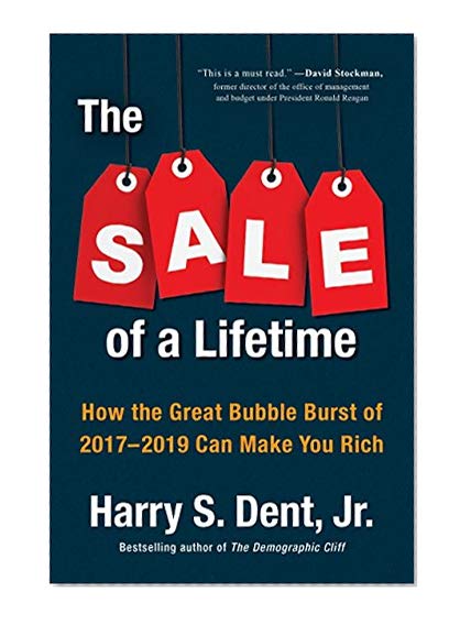 The Sale of a Lifetime: How the Great Bubble Burst of 2017-2019 Can Make You Rich