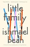 Little Family: A Novel