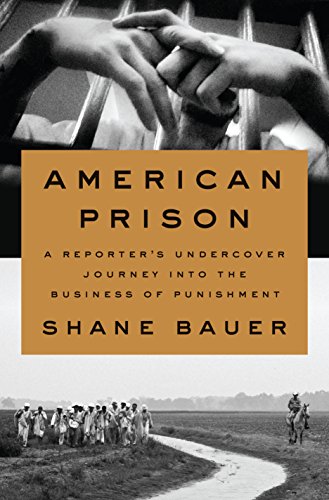 Book Cover American Prison: A Reporter's Undercover Journey into the Business of Punishment