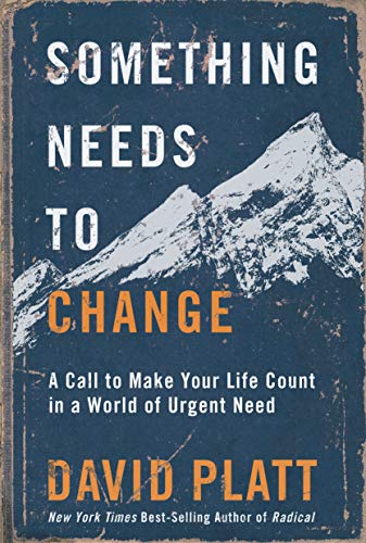 Book Cover Something Needs to Change: A Call to Make Your Life Count in a World of Urgent Need