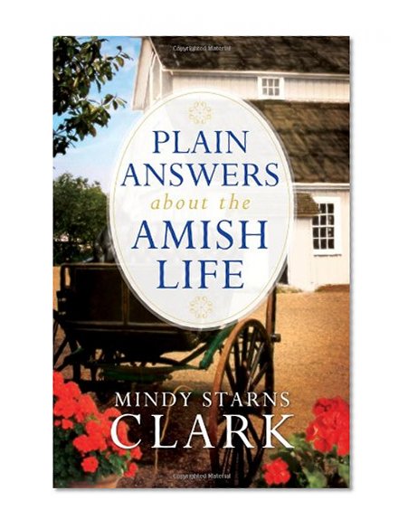 Book Cover Plain Answers About the Amish Life
