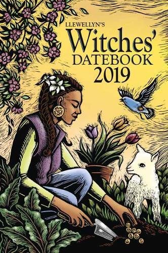Book Cover Llewellyn's 2019 Witches' Datebook