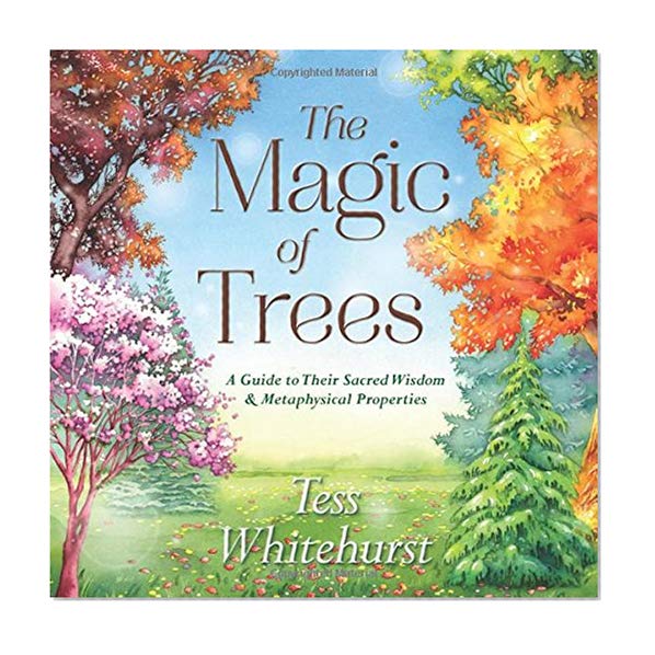 Book Cover The Magic of Trees: A Guide to Their Sacred Wisdom & Metaphysical Properties