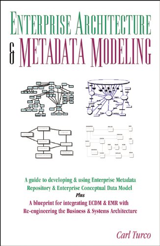 Enterprise Architecture & Metadata Modeling: A Guide to Conceptual Data Model, Metadata Repository, Business and Systems Re-engineering