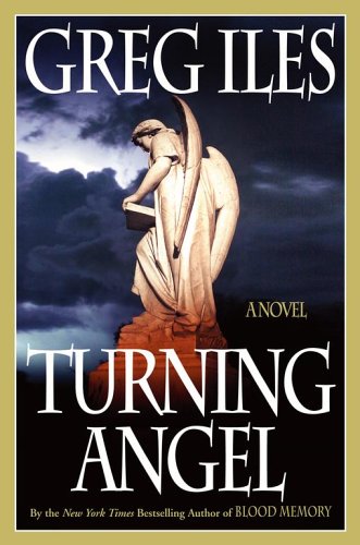 Book Cover Turning Angel: A Novel