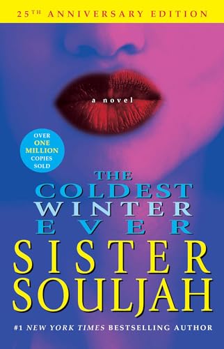 Book Cover The Coldest Winter Ever: A Novel