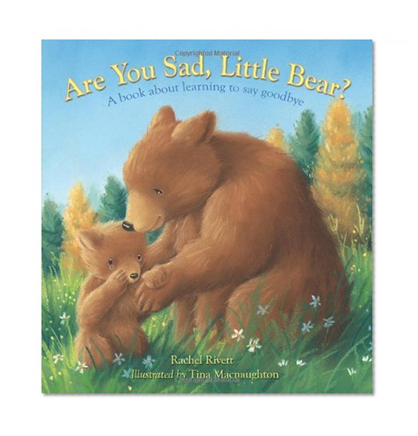 Are You Sad, Little Bear?: A Book About Learning to Say Goodbye