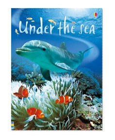 Under The Sea