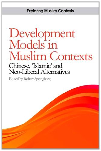 Development Models in Muslim Contexts: Chinese, 'Islamic' and Neo-liberal Alternatives (Exploring Muslim Contexts)