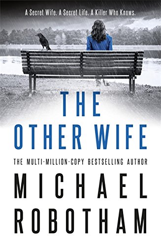 Book Cover Other Wife