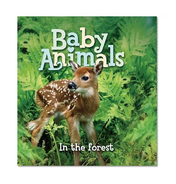 Baby Animals In the Forest