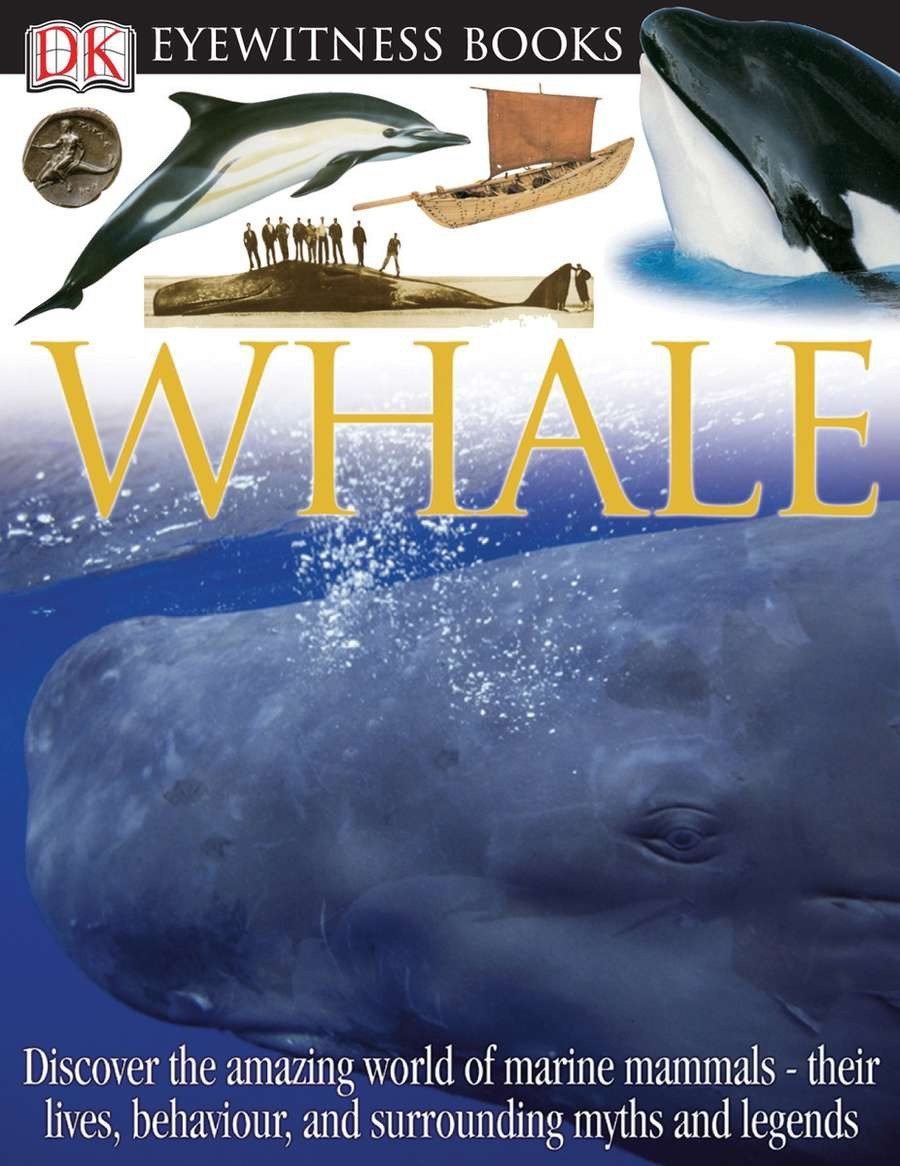 Book Cover DK Eyewitness Books: Whale