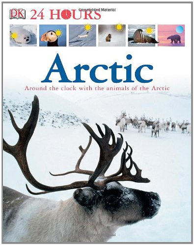 Arctic (Dk 24 Hours)