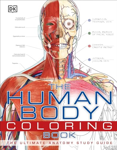 Book Cover The Human Body Coloring Book: The Ultimate Anatomy Study Guide