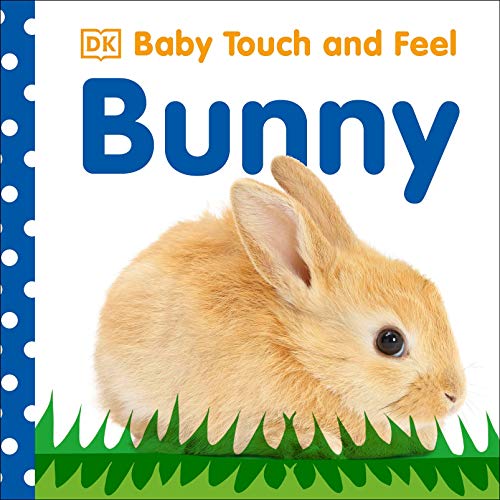 Book Cover Baby Touch and Feel: Bunny