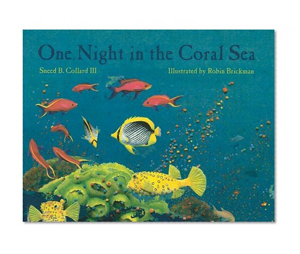 One Night in the Coral Sea