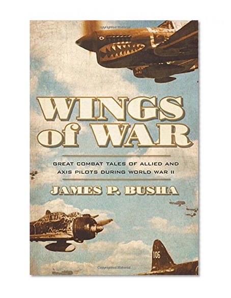 Wings of War: Great Combat Tales of Allied and Axis Pilots During World War II