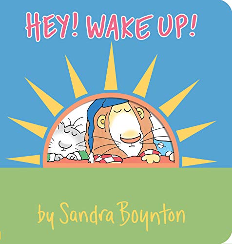 Book Cover Hey! Wake Up! (Boynton on Board)
