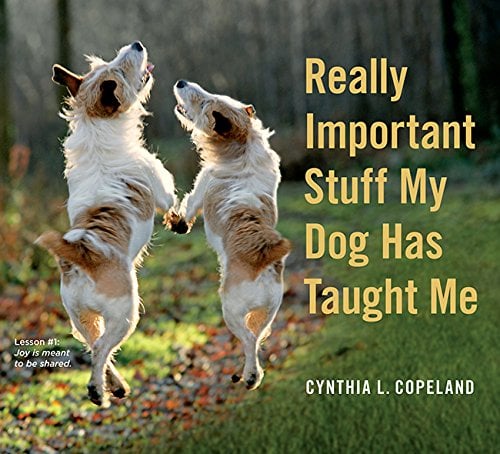 Book Cover Really Important Stuff My Dog Has Taught Me