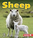 Sheep (First Step Nonfiction ― Farm Animals)