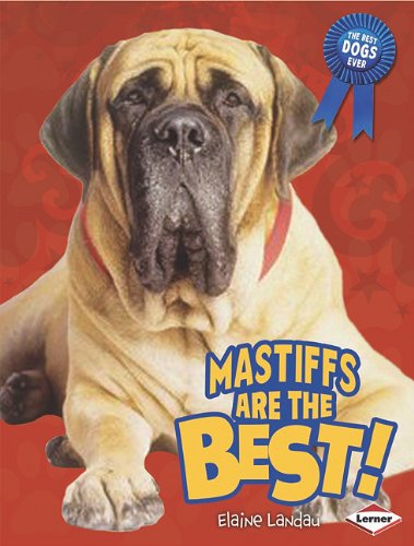 Mastiffs Are the Best! (Best Dogs Ever)
