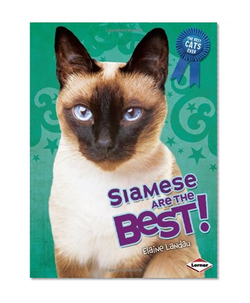 Siamese Are the Best! (Best Cats Ever)