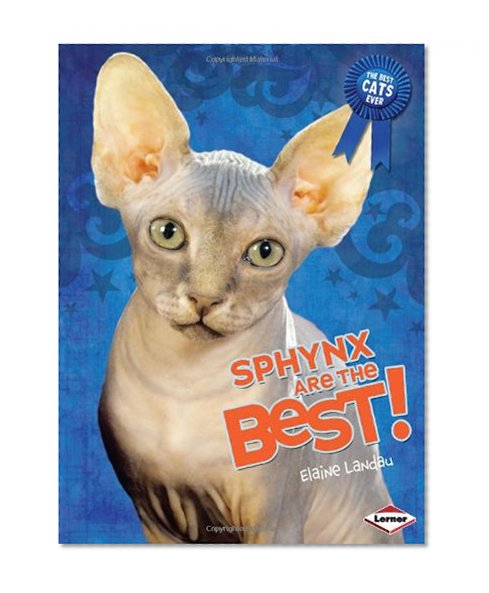 Sphynx Are the Best! (Best Cats Ever)