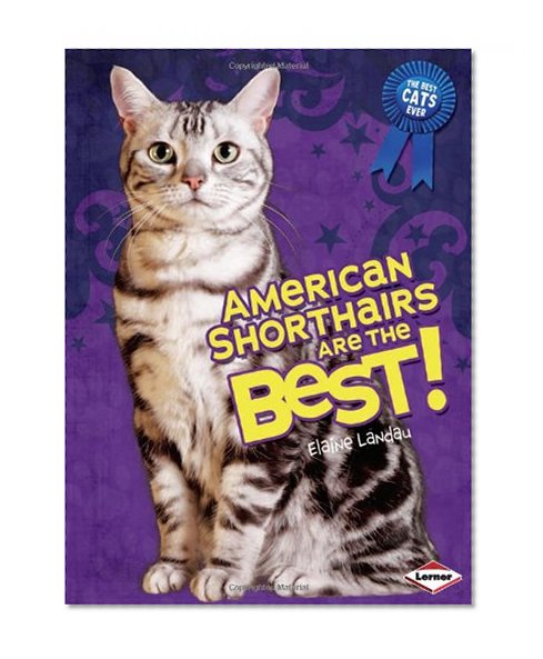 American Shorthairs Are the Best! (Best Cats Ever)