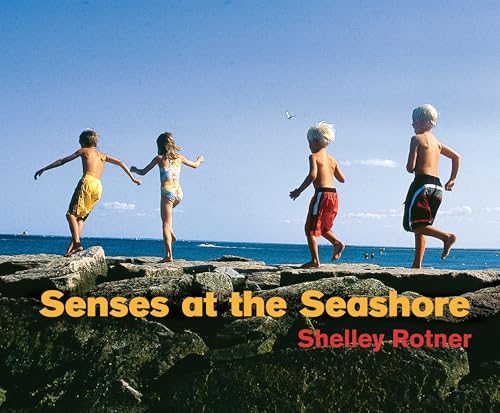 Senses at the Seashore (Shelley Rotner's Early Childhood Library)