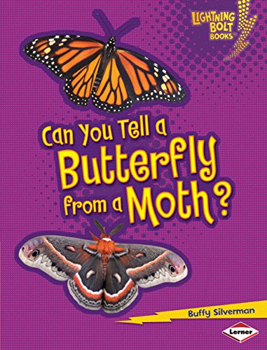 Can You Tell a Butterfly from a Moth? (Lightning Bolt Books ® ― Animal Look-Alikes)