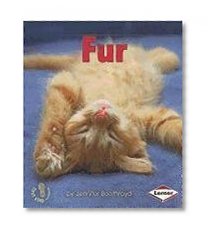 Fur (First Step Nonfiction (Paperback))